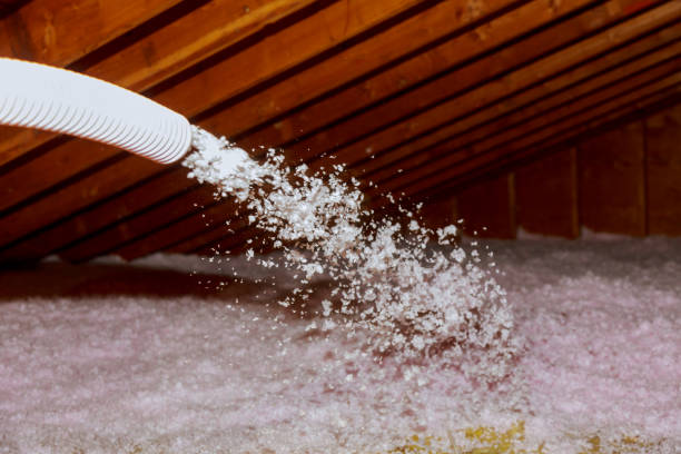 Best Soundproof Insulation Installation  in Leadington, MO