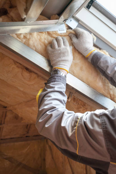 Best Affordable Insulation Services  in Leadington, MO