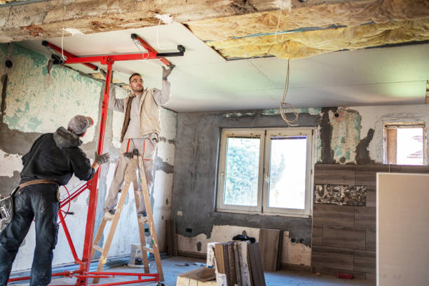 Best Cellulose Insulation  in Leadington, MO
