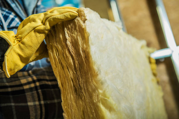 Best Attic Insulation Installation  in Leadington, MO