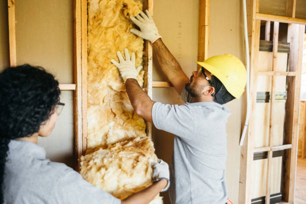 Best Local Insulation Services  in Leadington, MO