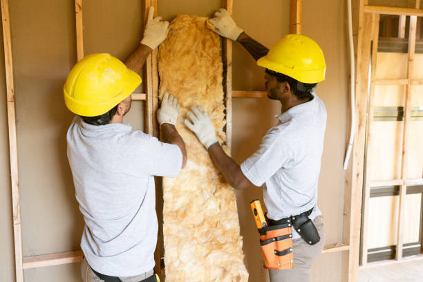 Insulation Repair Services in Leadington, MO