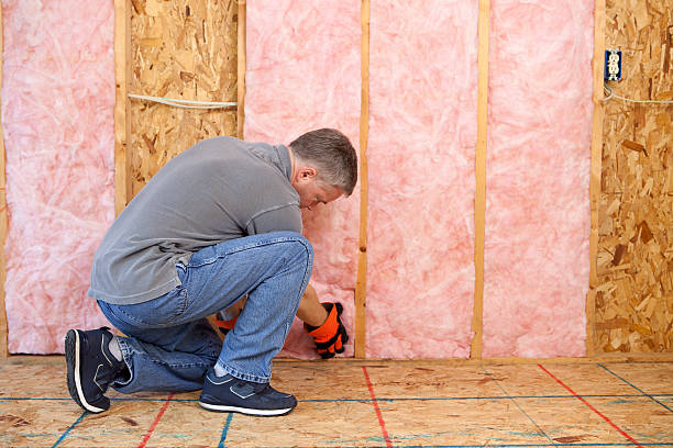 Best Blown-in Insulation  in Leadington, MO