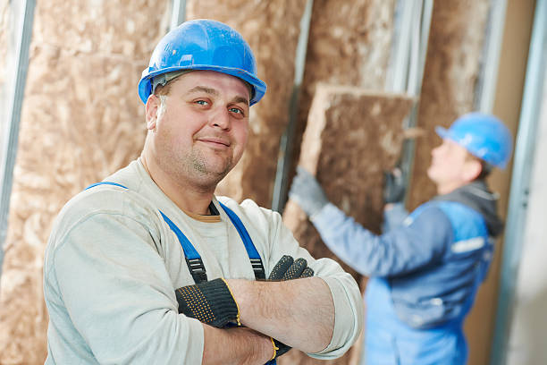 Best Insulation Contractors for Homes  in Leadington, MO