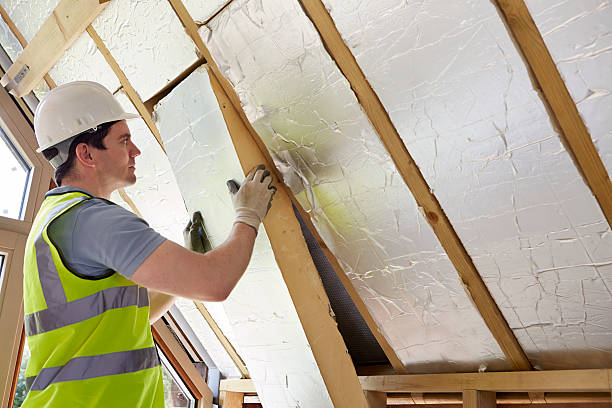 Best Fiberglass Insulation  in Leadington, MO