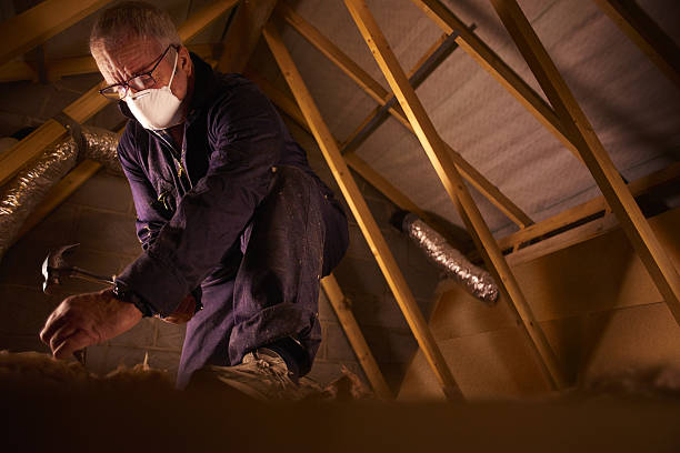 Best Residential Insulation Services  in Leadington, MO