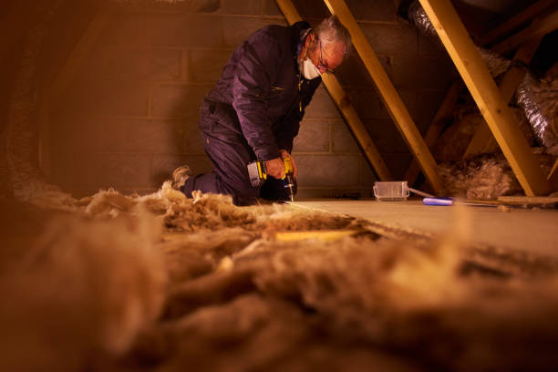 Best Spray Foam Insulation  in Leadington, MO