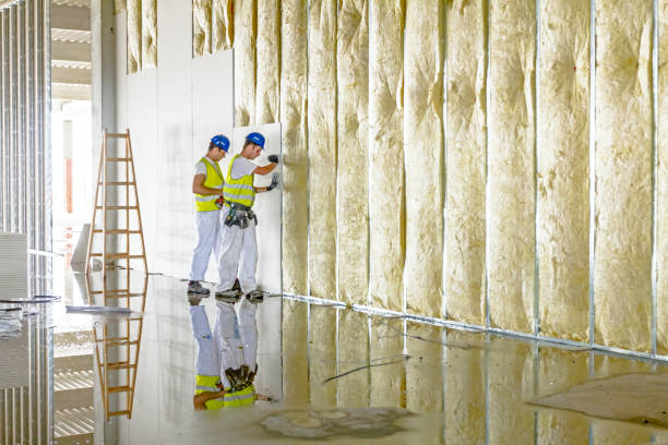 Best Insulation Contractors for Homes  in Leadington, MO
